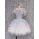 Garden Cat Dream Dance Vest, Skirt, JSK and FS(Pre-Made/Full Payment Without Shipping)